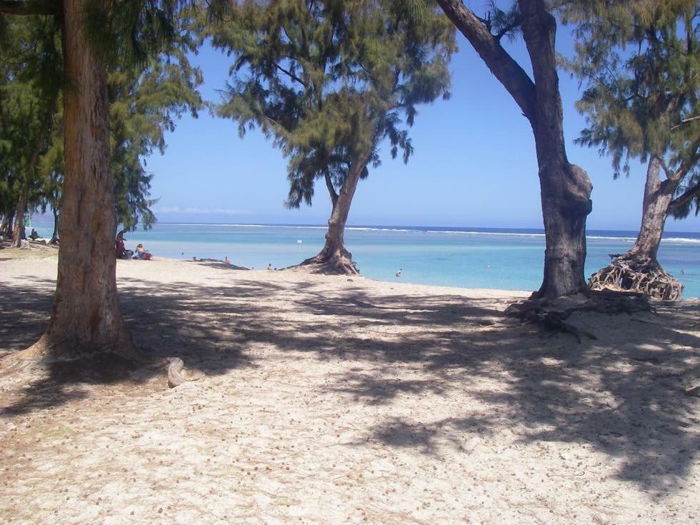 Le Saint Geran - A 3Mn A Pied De La Plage Et De Tous Commerces La Saline Le Bains Exteriér fotografie